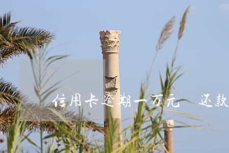 信用卡逾期一万元 还款两千 信用卡逾期一万元 还款两千